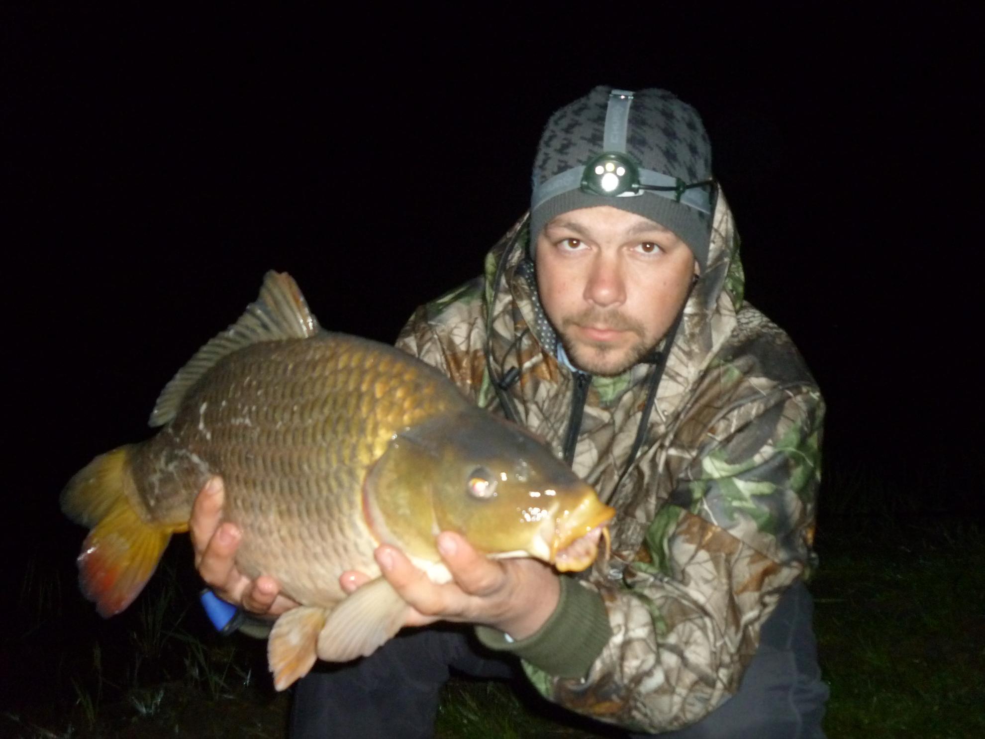 Stejeris 2011 - p1010962.JPG